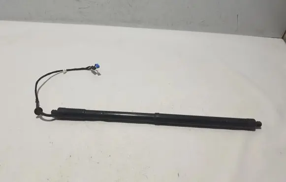 Tailgate strut