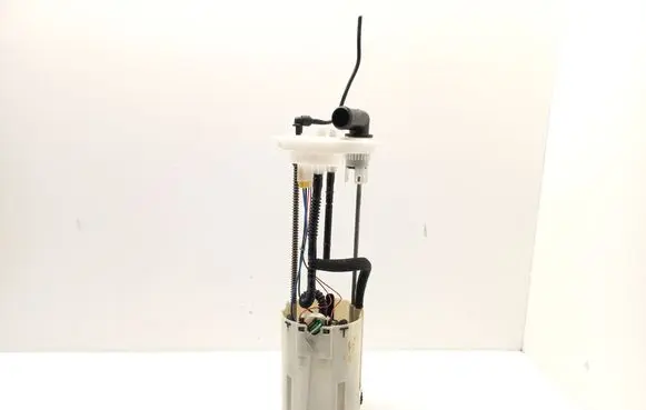 Citroen Jumper In-tank fuel pump 1344830080