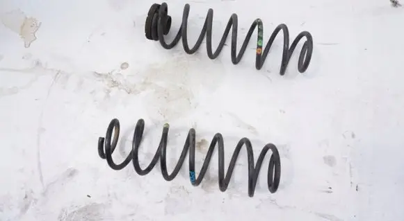 Rear coil spring