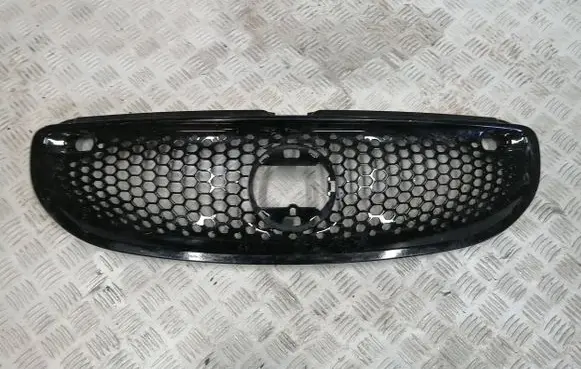 Smart ForTwo II Front bumper lower grill 622569882R