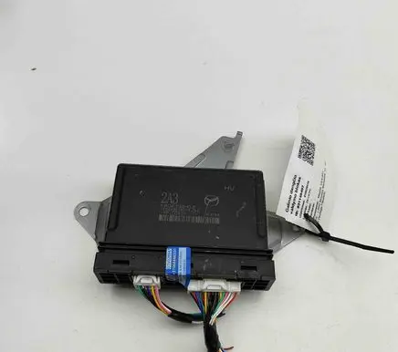 Tailgate/trunk control unit/module