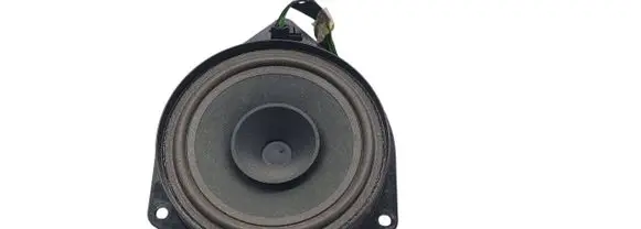 Fiat Punto (199) Rear door speaker 55701248