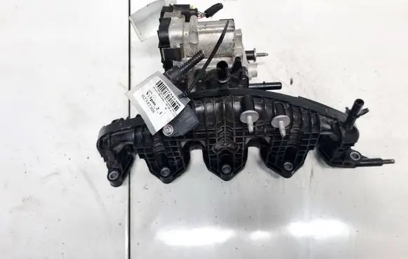Intake manifold