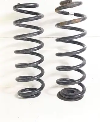 Rear coil spring