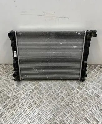 Renault Clio V Coolant radiator 214106666R