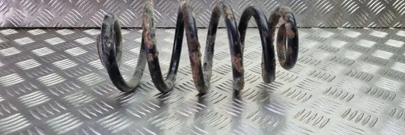 Audi A4 S4 B6 8E 8H Rear coil spring