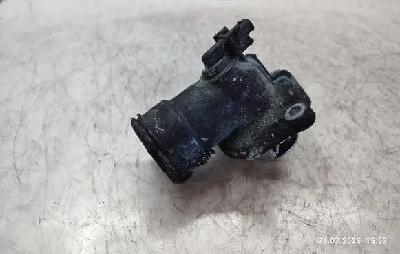 Thermostat/thermostat housing