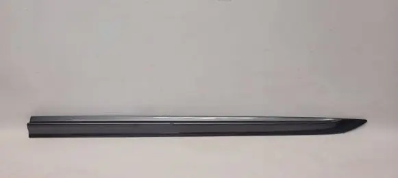 Honda Civic X Trim molding 