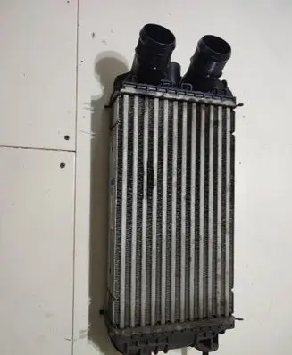 Peugeot 2008 II Intercooler radiator 9824742280 JD1271006520