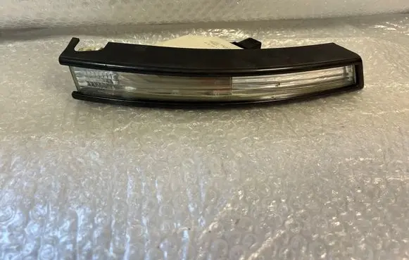 Volkswagen PASSAT B6 Front indicator light 3C0953042L