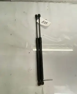 Tailgate/trunk strut/damper