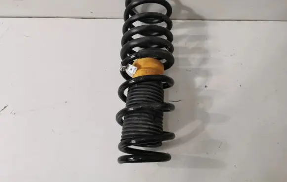 BMW 5 G30 G31 Rear coil spring 123456
