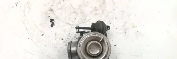 Volkswagen Golf IV EGR valve 038131501B