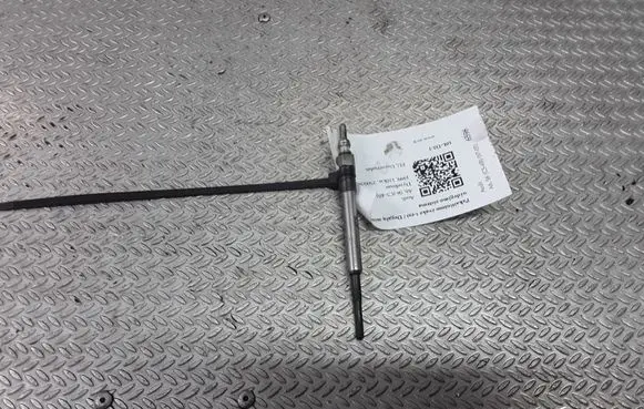 Audi A6 S6 C5 4B Glow plug 0250202102