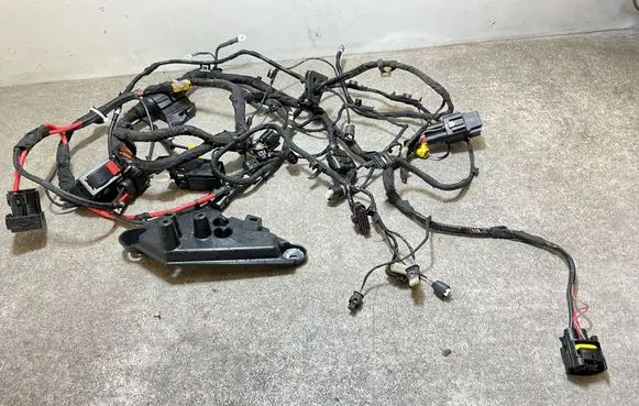 Other wiring loom