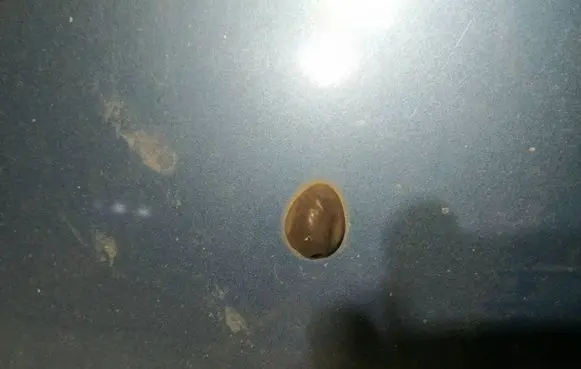 Windshield washer spray nozzle