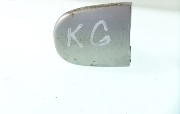 Volkswagen PASSAT B5 Loading door cover/cap 