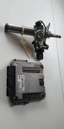 Nissan Qashqai+2 Engine control unit/module