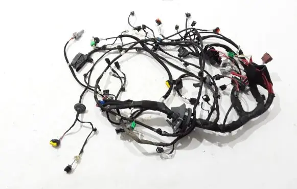 Renault Scenic IV - Grand scenic IV Other wiring loom 403885378R