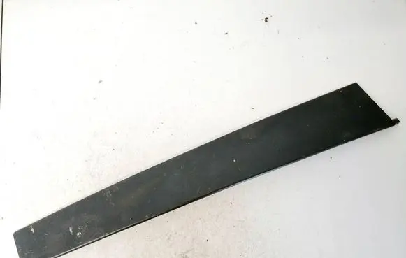 Other rear door trim element