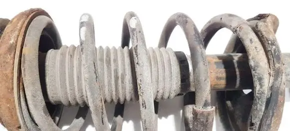 Chevrolet Epica Front coil spring