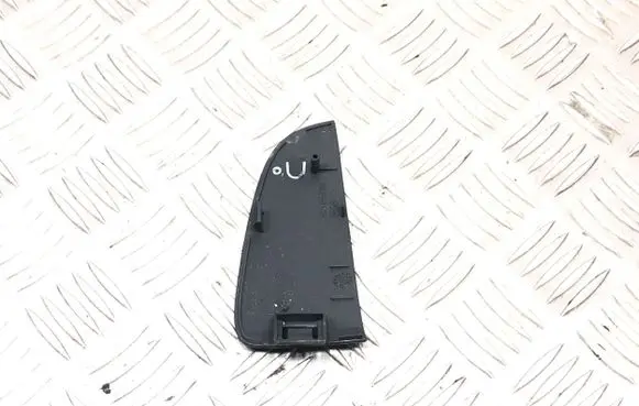 Other rear door trim element