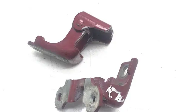 Renault Scenic III - Grand scenic III Front door hinge set 804200003RL