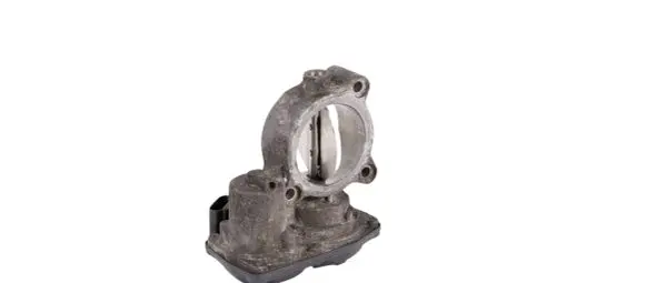 Throttle body valve