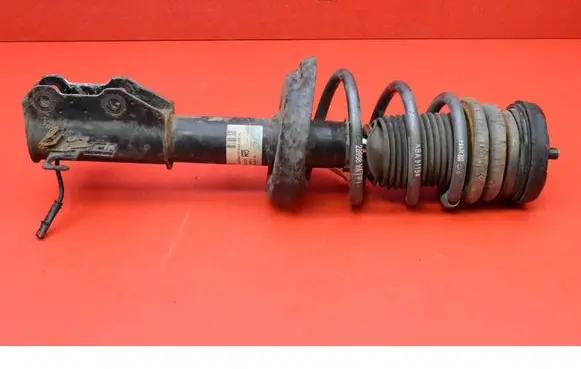 Opel Insignia A Front shock absorber/damper 13319746