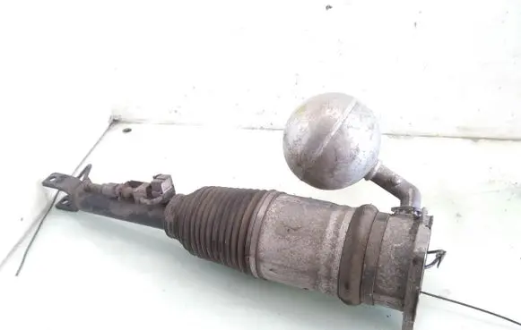 Volkswagen Phaeton Shock absorber/damper/air suspension 3D0616002G