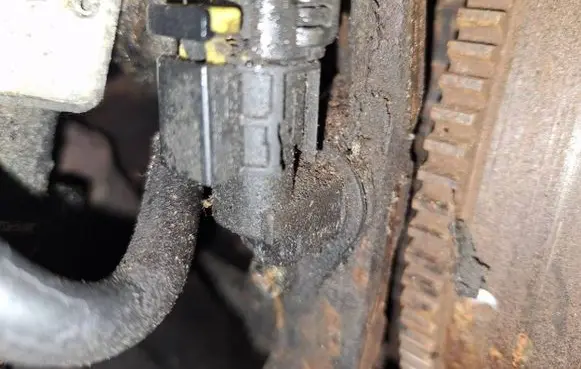 Fiat Doblo Crankshaft position sensor