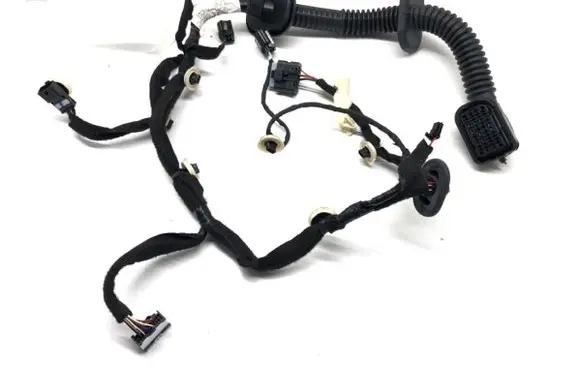 Front door wiring loom