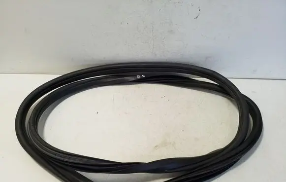 Fiat Tipo Rear door rubber seal (on body) 