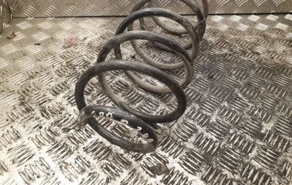 Front coil spring