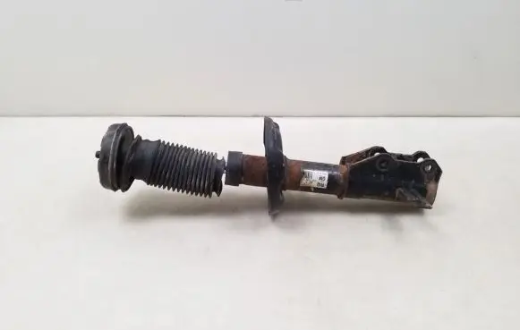Opel Insignia A Front shock absorber/damper 13245976