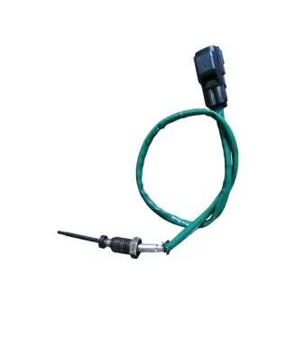 Ford Focus Exhaust gas temperature sensor F1F112B591CB