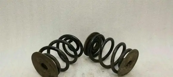 BMW Z4 E85 E86 Rear coil spring 6760605