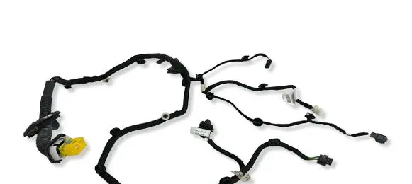 Citroen C4 III e-C4 Rear door wiring loom 9840756380 47682