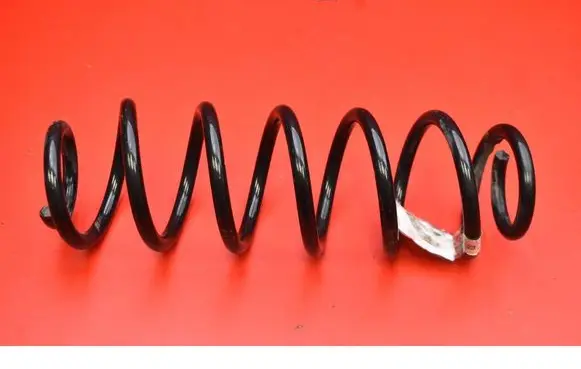 Rear coil spring