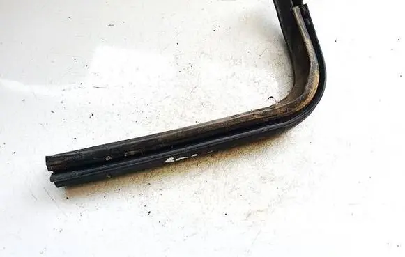 Renault Zoe Rubber seal front coupe door m807g