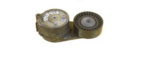 Fiat 500 Power steering belt tensioner 55247430 312A2000