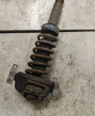 Volkswagen Touareg I Rear shock absorber with coil spring 