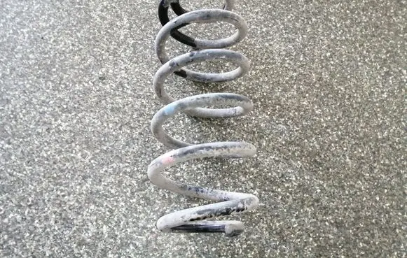 Toyota Urban Cruiser (XP110) Rear coil spring