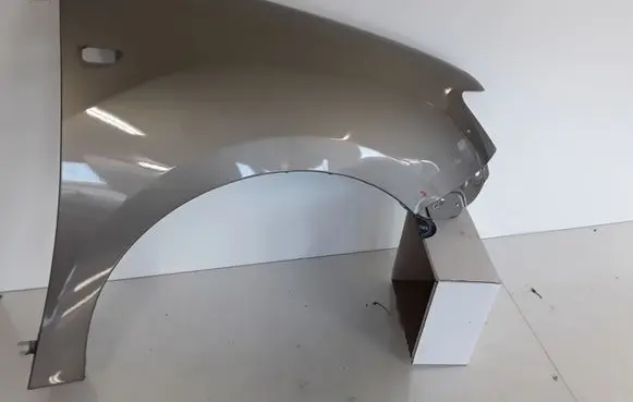 Dacia Sandero Fender 631001530