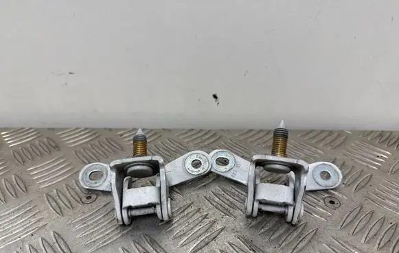 Tailgate/trunk/boot hinge
