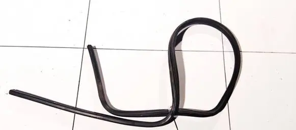 Chrysler Grand Voyager IV Rubber seal front coupe door 