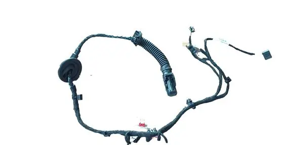 Volkswagen Tiguan Rear door wiring loom 571971693T