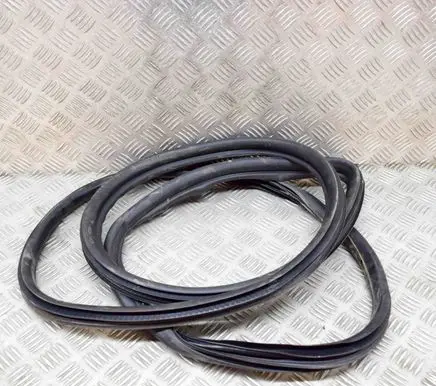 BMW 1 F20 F21 Rubber seal front coupe door 7267911