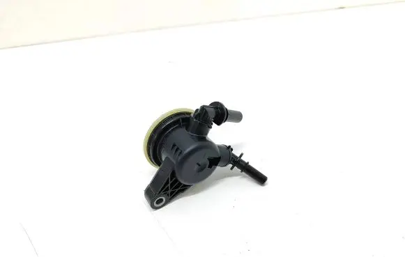 Citroen Berlingo Fuel filter 