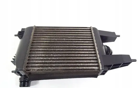 Nissan Juke I F15 Intercooler radiator
